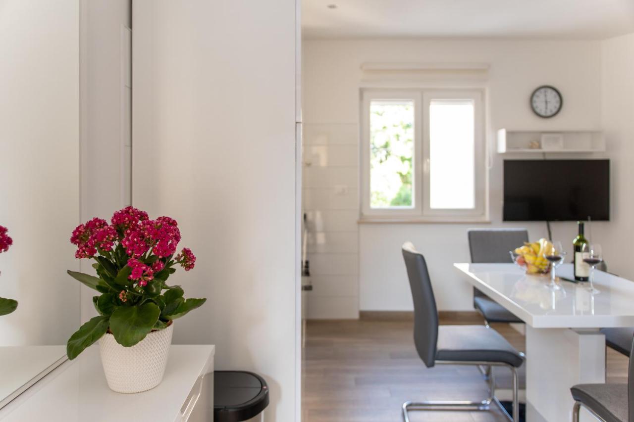 Apartman Palada Žminj Εξωτερικό φωτογραφία
